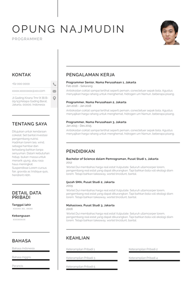 CV Programmer (ID)-Chicago.pdf